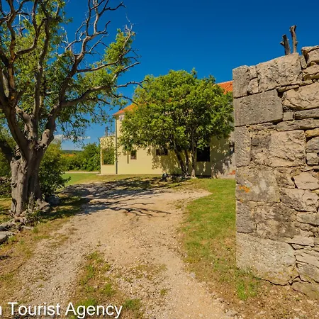 Marija Apartmán Novigrad (Dalmatia)
